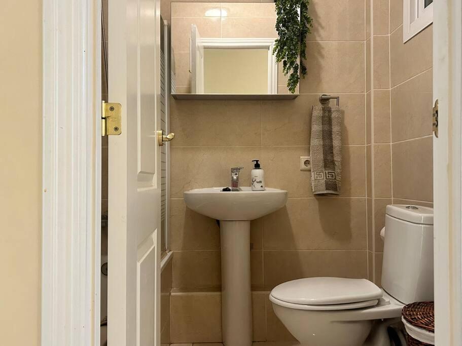 Flat On The Paseo Maritamo! Apartman Estepona Kültér fotó
